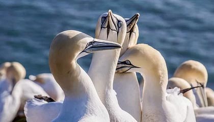 赵嘉仁训练视频日常片段： 接球出手细节，接球余光观察